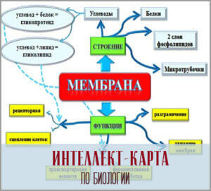 интеллект-карта