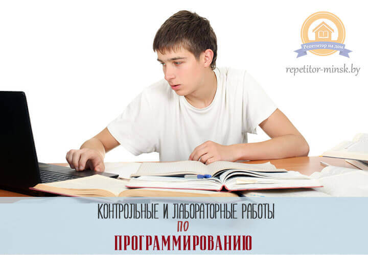 Задачи по программированию заказать в минске